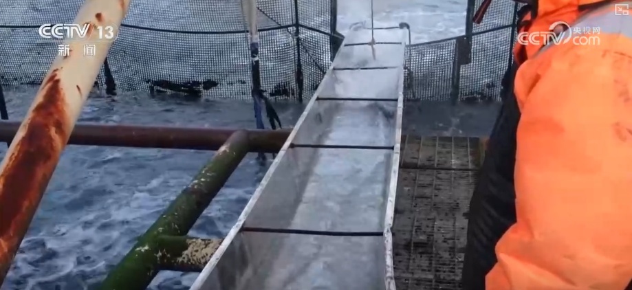 “智慧化养殖+保姆式服务”加速丰盈“蓝色粮仓” 海洋经济释放强劲动能