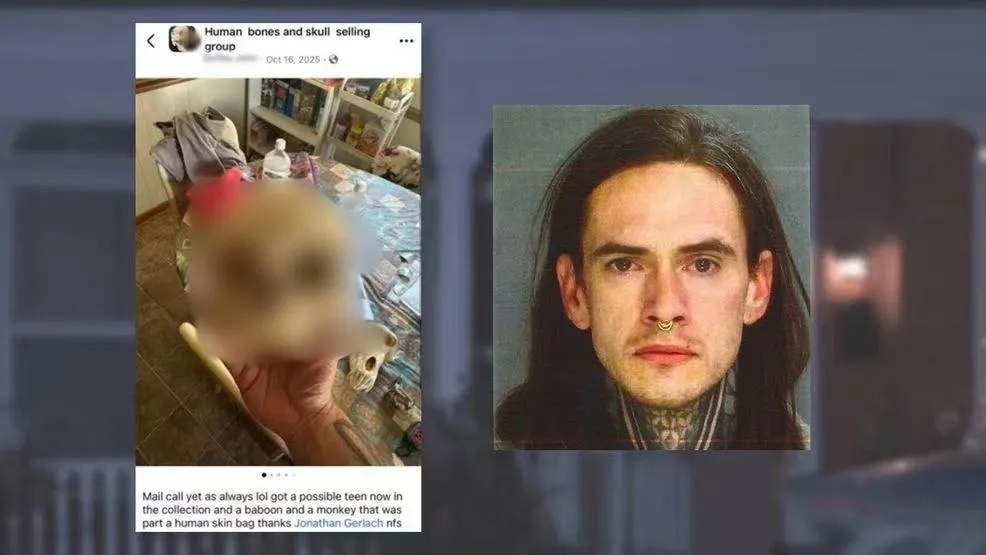 美国男子涉嫌出售“人皮包”，家中景象如同“恐怖电影”