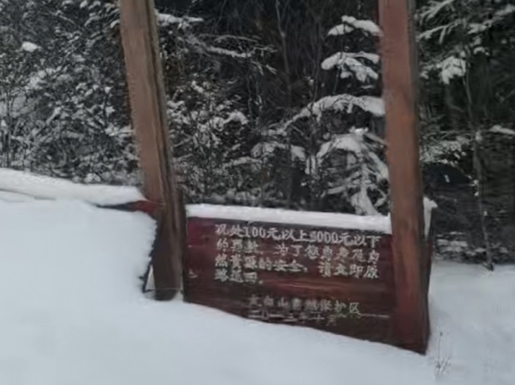 5人违规穿越“鳌太线”，3人遇难！救援人员还原搜救经过
