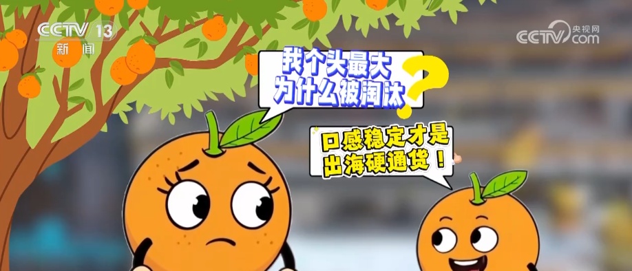 科技加持让致富果“甜”上加“值” “颜值关”叠加“低碳关”成为农产品过硬竞争力