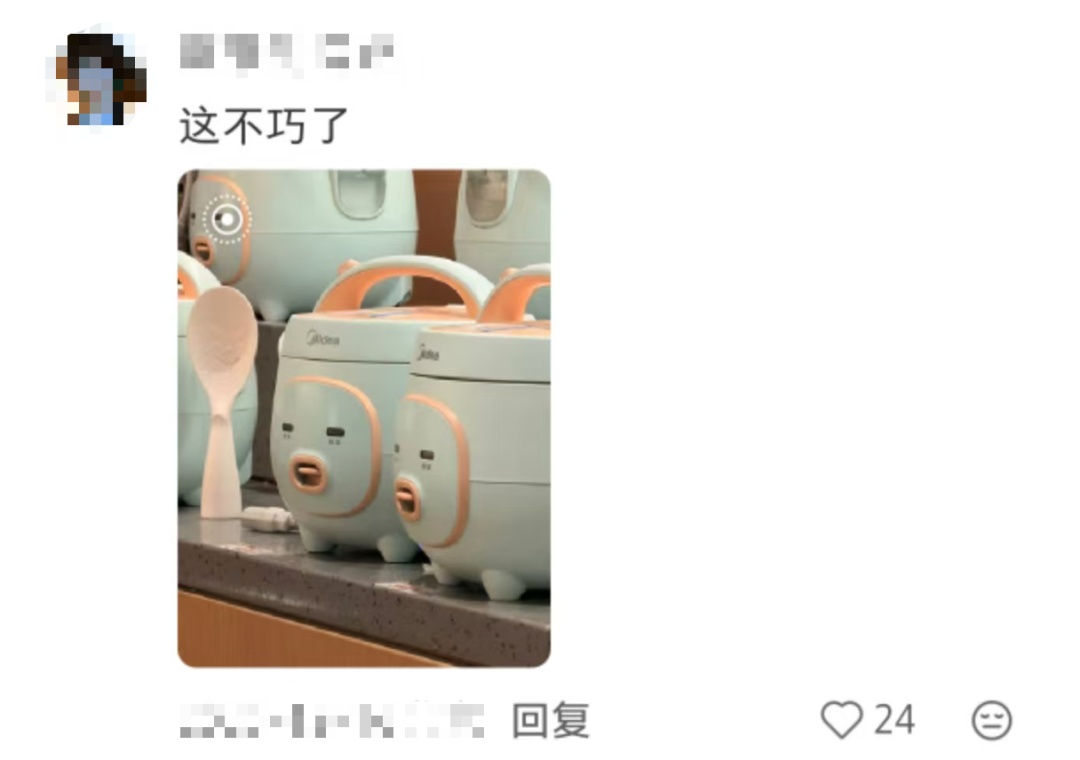 妈妈：你怎么挑的白菜？我：我挑着最开心的买的……