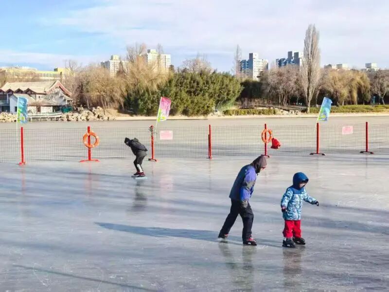 紫竹院公园冰场开放啦！全年龄段冰上项目齐活