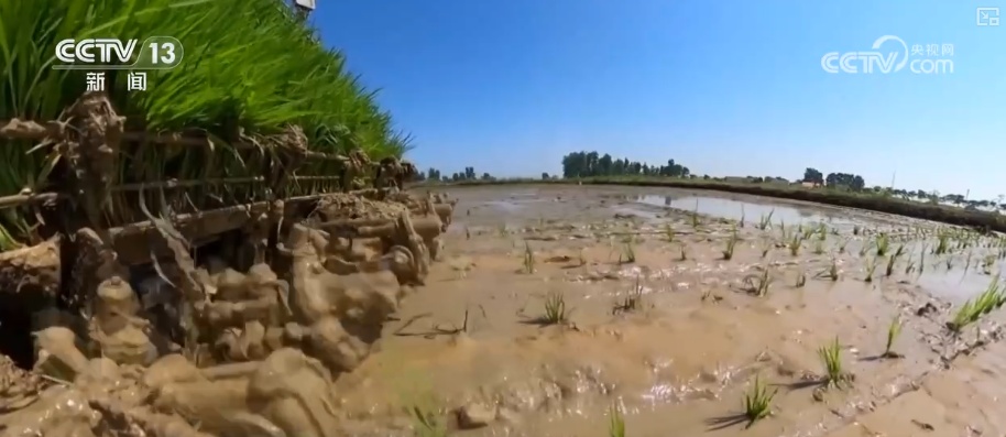 科技加持让致富果“甜”上加“值” “颜值关”叠加“低碳关”成为农产品过硬竞争力