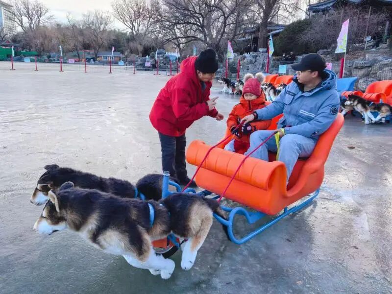 紫竹院公园冰场开放啦！全年龄段冰上项目齐活