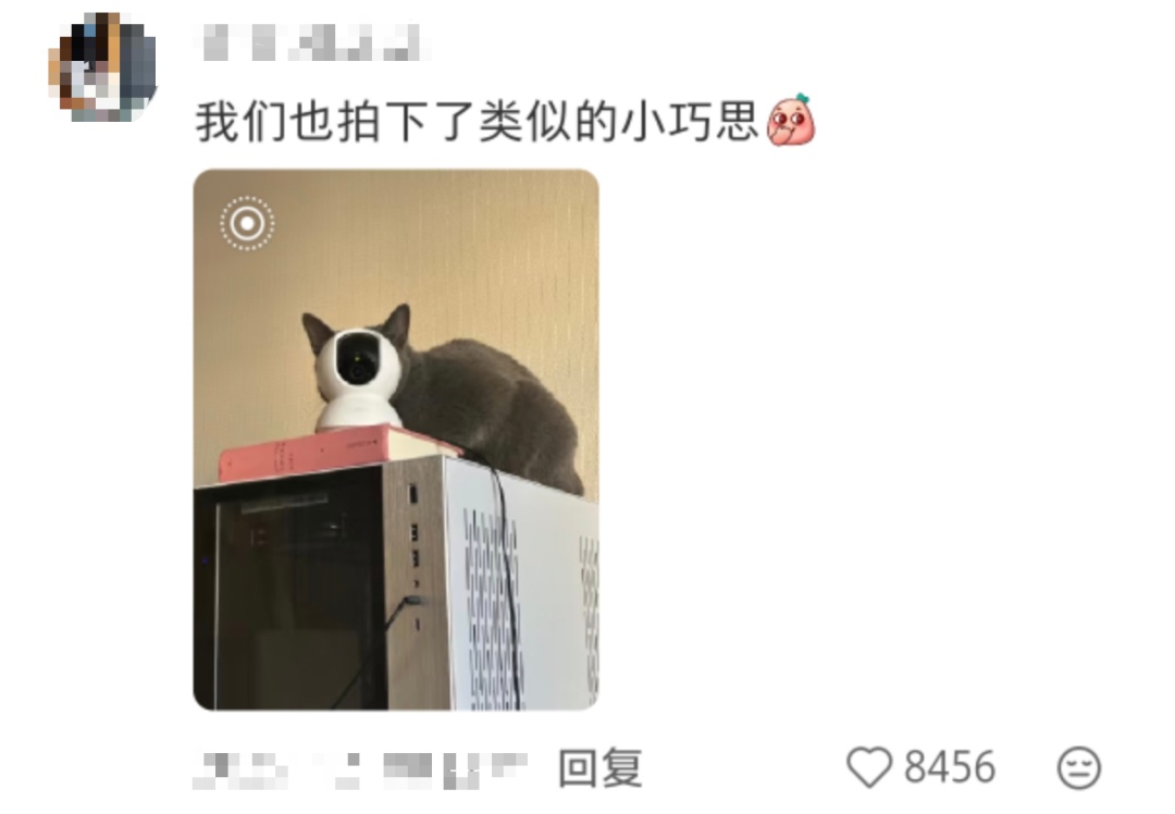 妈妈：你怎么挑的白菜？我：我挑着最开心的买的……