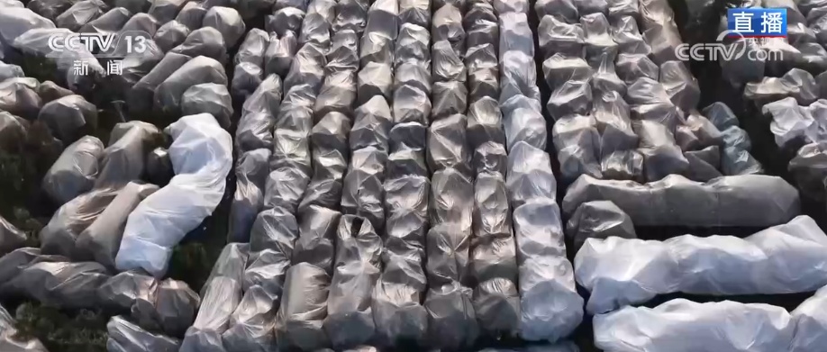 科技加持让致富果“甜”上加“值” “颜值关”叠加“低碳关”成为农产品过硬竞争力