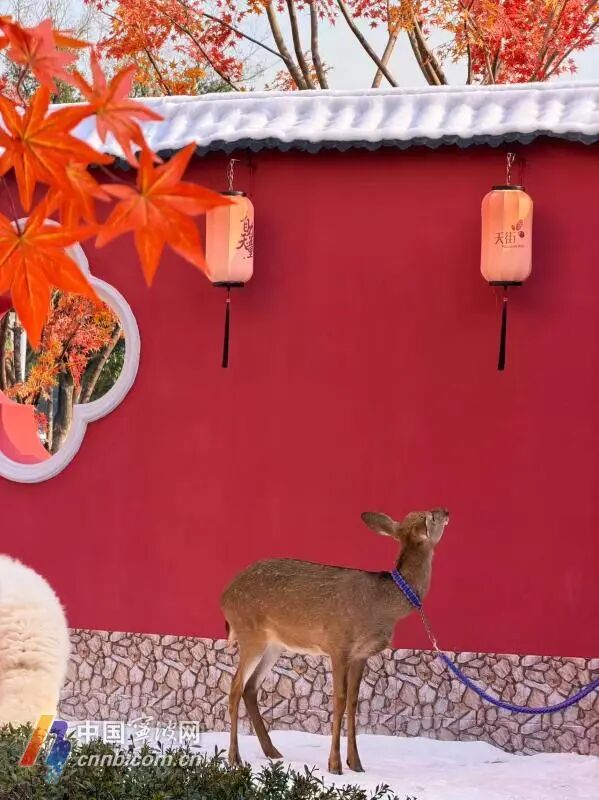 宁波首座地铁口庭院开放，每逢整点还有人造雪花