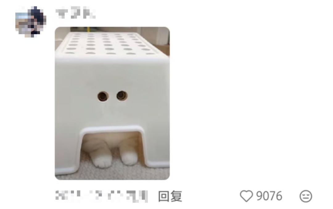 妈妈：你怎么挑的白菜？我：我挑着最开心的买的……