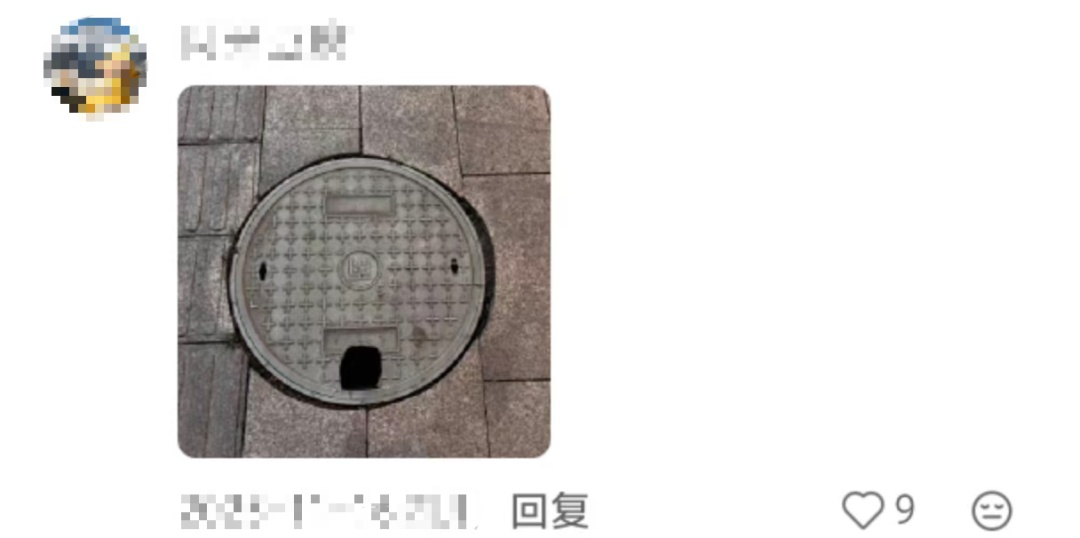 妈妈：你怎么挑的白菜？我：我挑着最开心的买的……