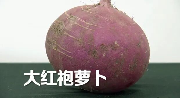 萝卜被称作“小人参”!可惜很多人都没吃对,白白浪费了营养→ 萝卜被称作“小人参”!可惜很多人都没吃对,白白浪费了营养→