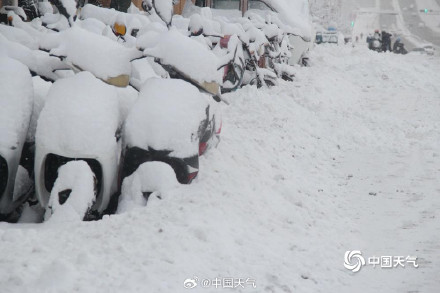 威海的雪下到模糊