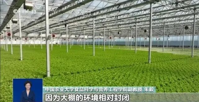 “艾叶加陈醋,神仙都让路”?表面做着科普,实际全是套路! “艾叶加陈醋,神仙都让路”?表面做着科普,实际全是套路!