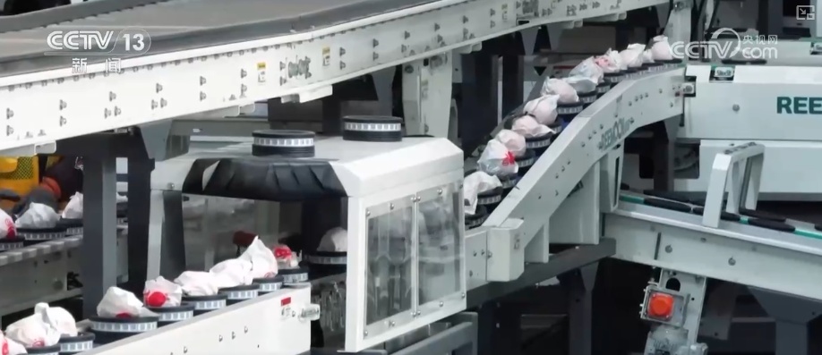 科技加持让致富果“甜”上加“值” “颜值关”叠加“低碳关”成为农产品过硬竞争力