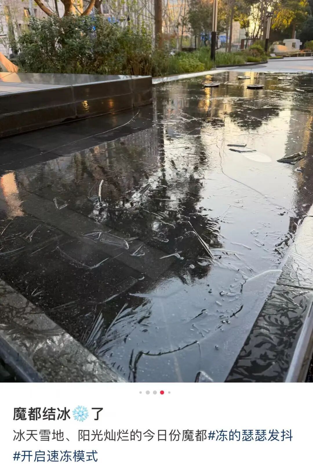 -4.7℃！上海冷到发紫！明天最低-5℃！下周大转折，网友：羽绒服要收起来了...