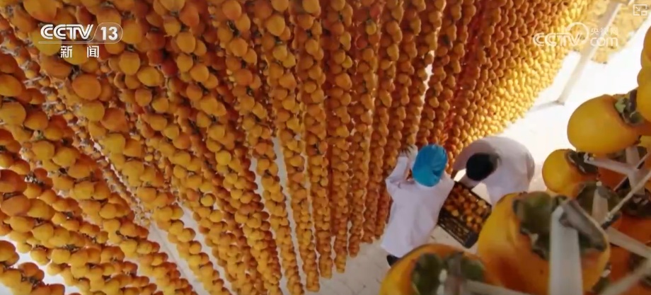 科技加持让致富果“甜”上加“值” “颜值关”叠加“低碳关”成为农产品过硬竞争力