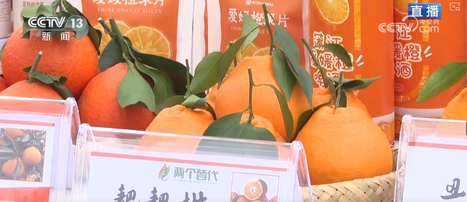 科技加持让致富果“甜”上加“值” “颜值关”叠加“低碳关”成为农产品过硬竞争力