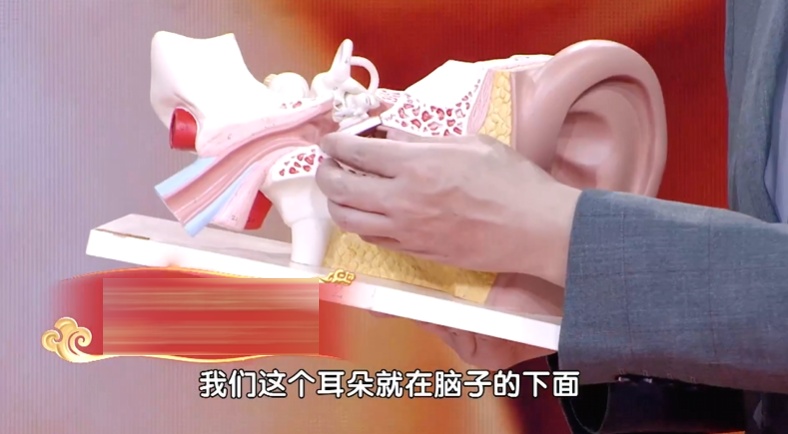 心脏出问题，从耳朵“听不见”这2种声音开始——