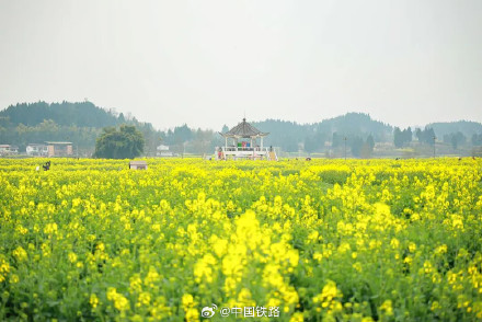 这个车站的安检仪，为啥扫描出这么多“罐罐”？