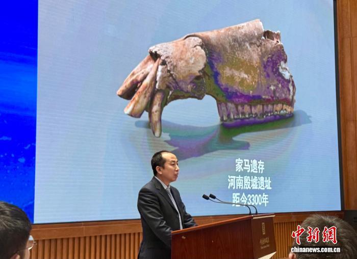 26省121处遗址逾10万件收藏 中国古代动物标本库拥有四项之最 26省121处遗址逾10万件收藏 中国古代动物标本库拥有四项之最