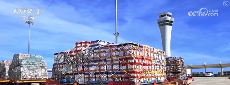 “中国好物”出口明细单含“智”量十足 海外消费者“智”享新颖、友好消费新体验 “中国好物”出口明细单含“智”量十足 海外消费者“智”享新颖、友好消费新体验