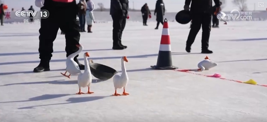 冰雪经济从“单一体验”向“综合消费”升级 多样化服务供给延长消费链条