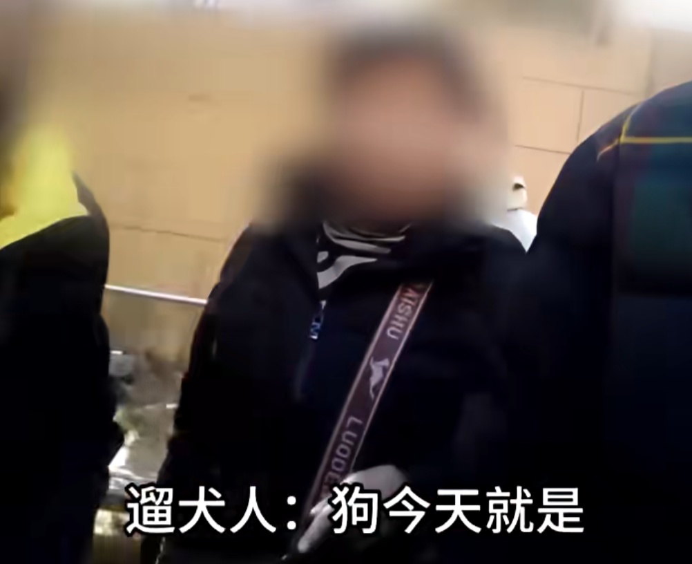 动真格了！很多上海市民乐见新规实行，致人伤害最高可处10日拘留及1000元罚款