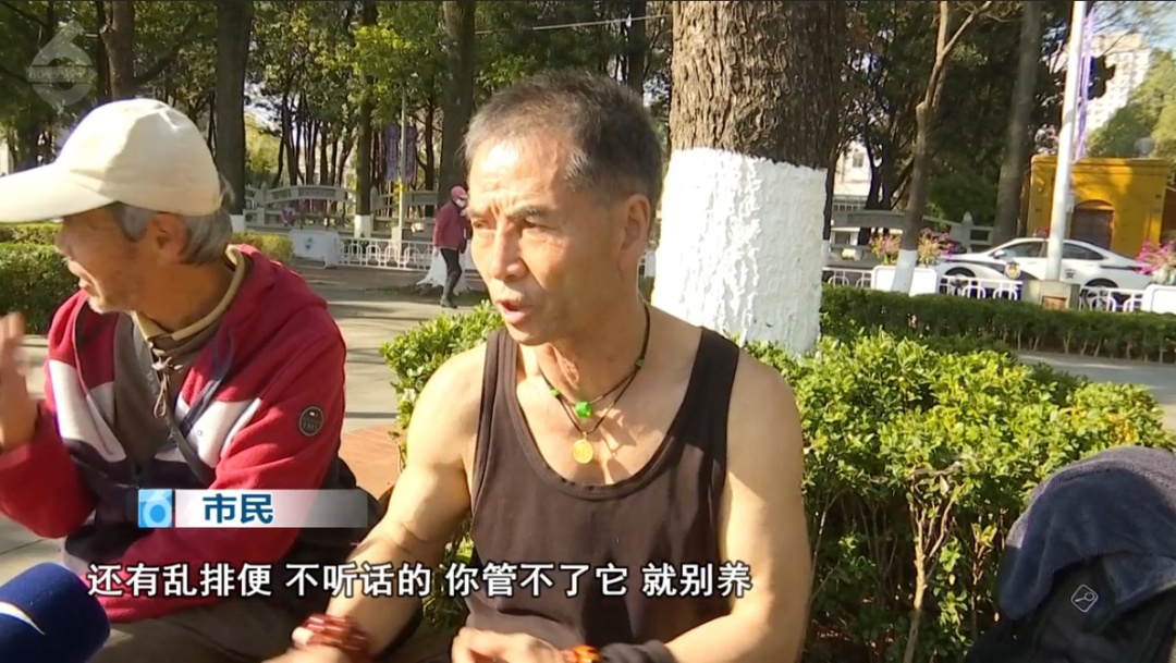 动真格了！很多上海市民乐见新规实行，致人伤害最高可处10日拘留及1000元罚款