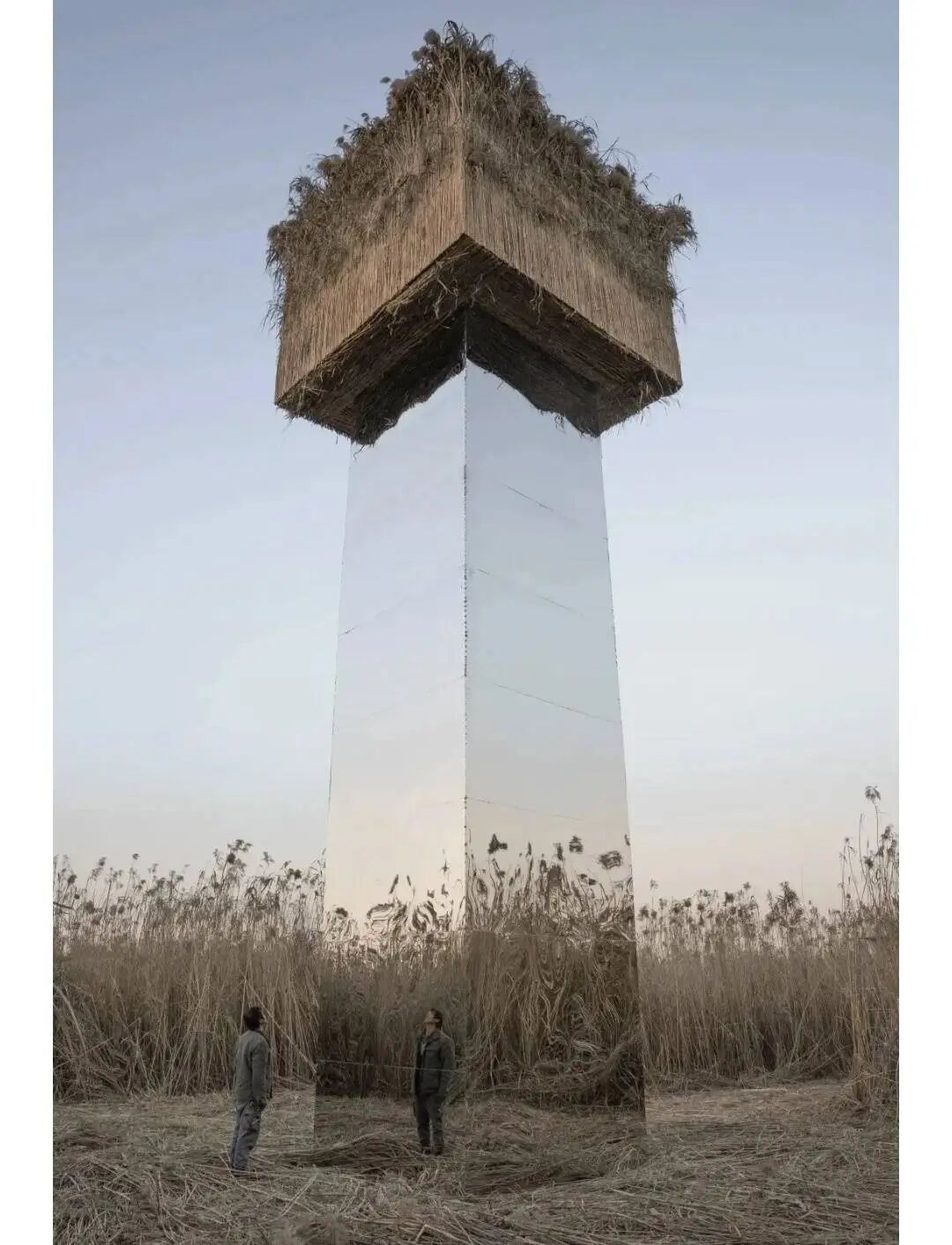 湖南洞庭湖一镜面艺术装置被指“人造候鸟屠场”？ 当地回应：正拆除