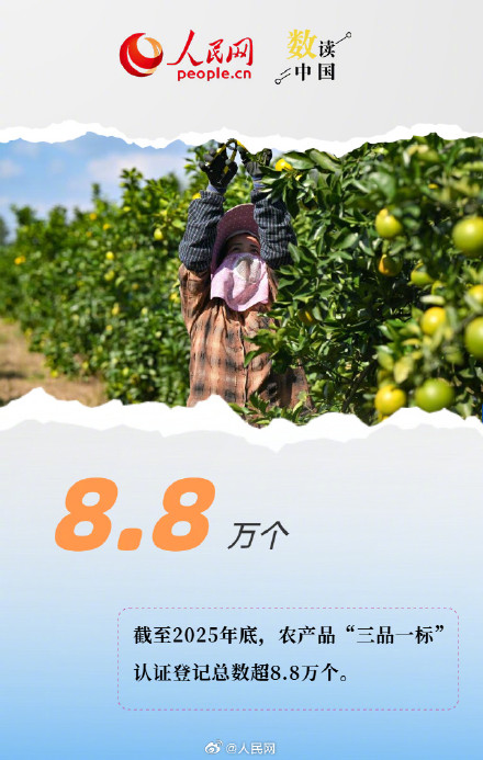 6组数字透视消费升级绿色答卷