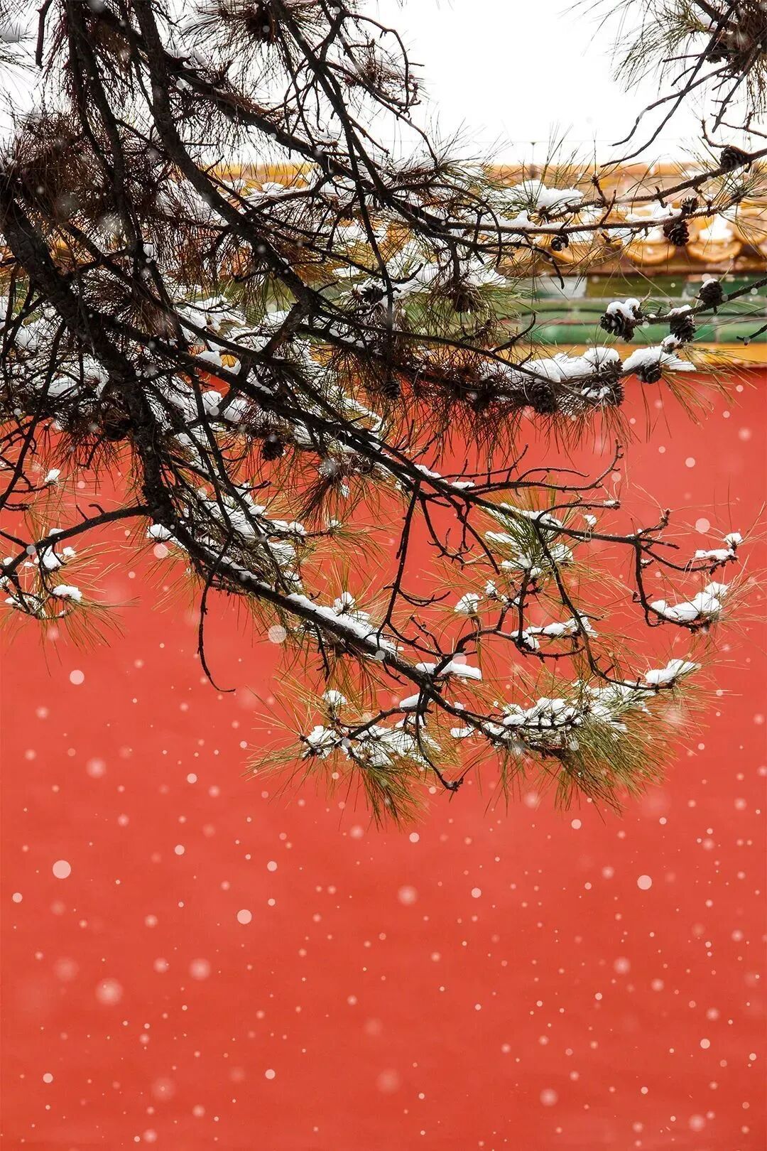 瑞雪兆丰年！雪中故宫，来了→