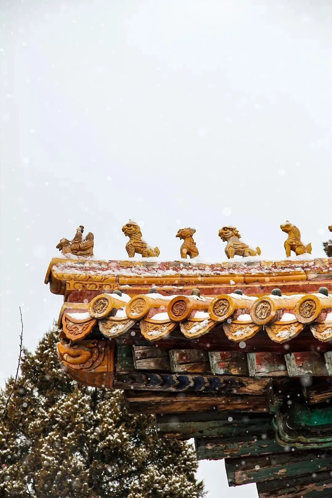 这是雪后的故宫——