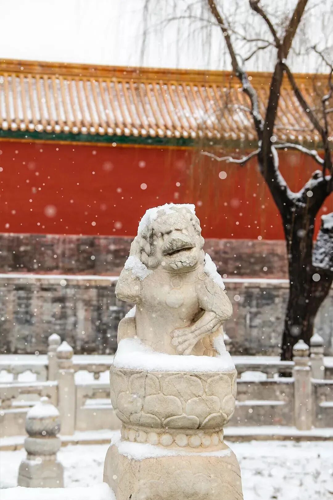 这是雪后的故宫——