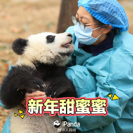 拜年啦！一键保存熊猫宝宝新春表情包
