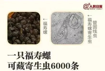 别吃,寄生虫达上千条,近期正大量出现 别吃,寄生虫达上千条,近期正大量出现