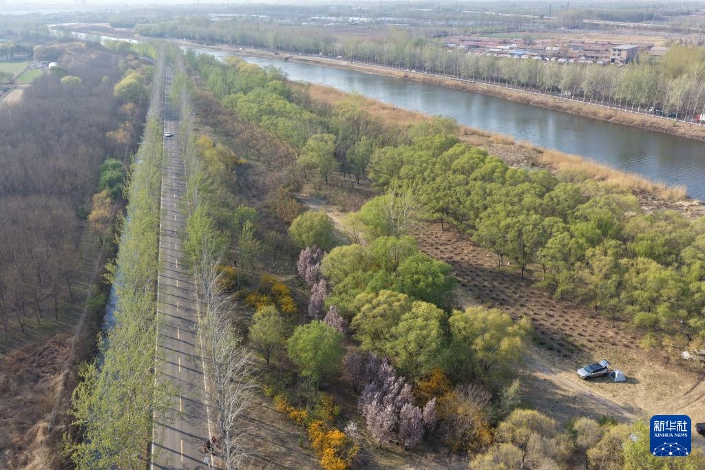京杭大运河春色 京杭大运河春色