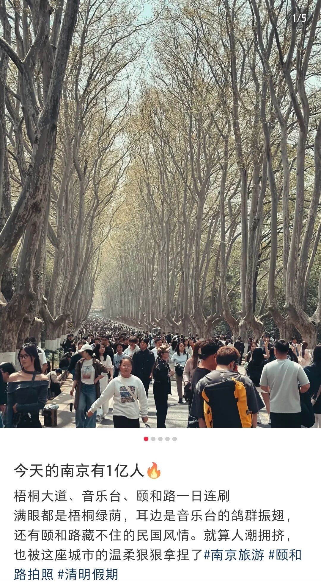 “感觉南京来了1亿人！”全国多地景区宣布：限流、停止售票