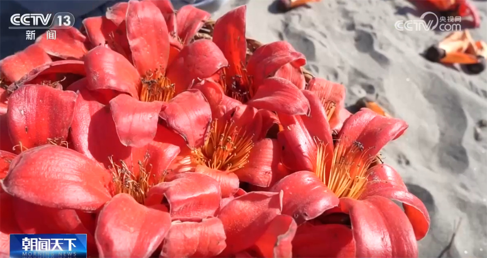 “寻味”春鲜激活“舌尖”经济、撬动文旅热潮 假期餐饮消费向优向好