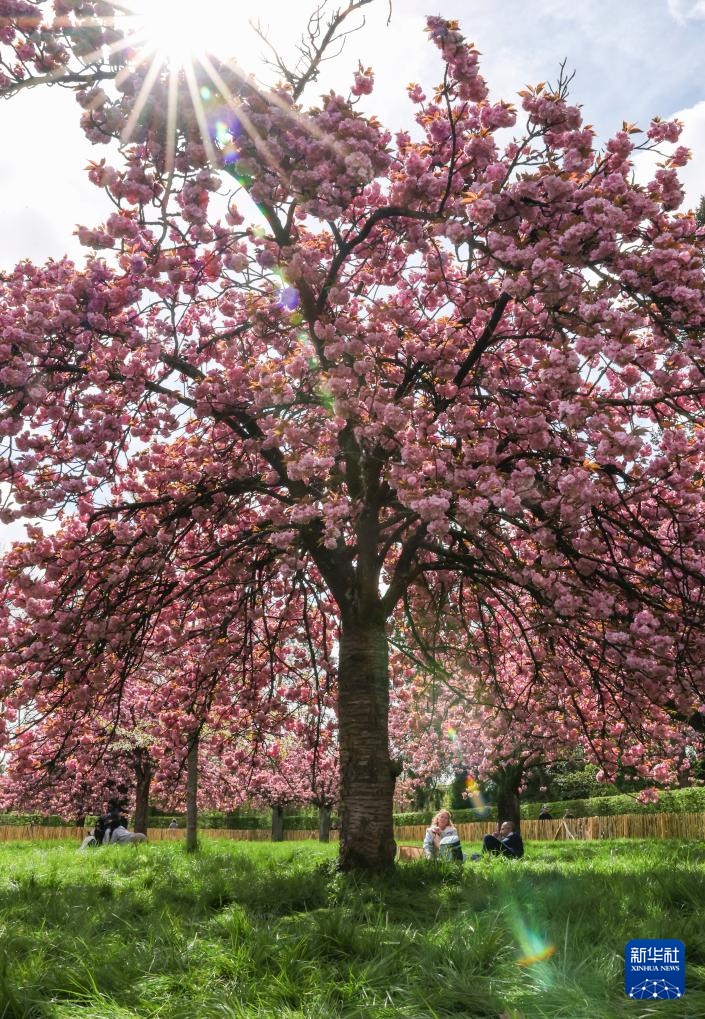 法国：享受假日