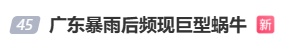 广东暴雨后巨型蜗牛泛滥!专家提醒:千万别摸别吃,一只携带上百条寄生虫可致脑膜炎 广东暴雨后巨型蜗牛泛滥!专家提醒:千万别摸别吃,一只携带上百条寄生虫可致脑膜炎