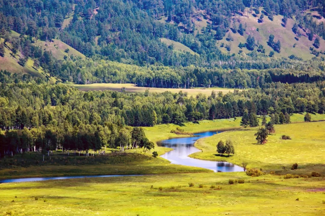 警惕干雷暴！气象如何守护森林草原防火安全？