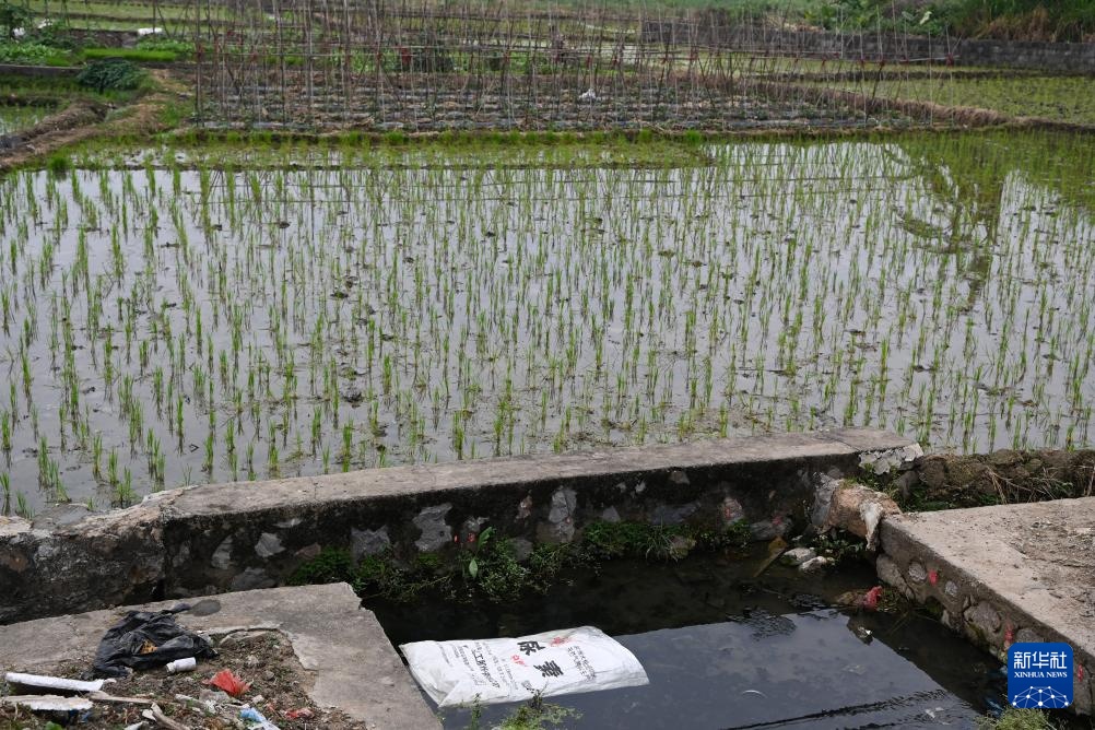莫让农资废弃物在田间“流浪”
