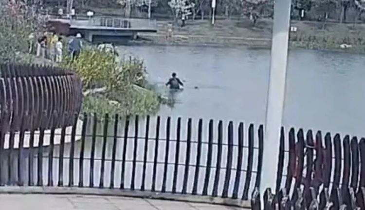 事发上海！7岁男孩落水，37岁男子手机一丢就跳了下去，救人后默默离去……