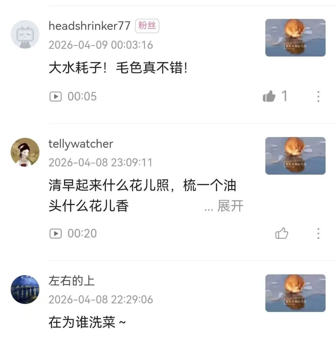 冰上洗脸超讲究！太阳岛外滩湿地“爱美”麝鼠圈粉无数