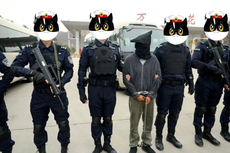 历时八年！陕西、云南警方密切协作成功抓获涉毒二级“钉子”逃犯