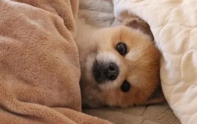 “半夜醒来不要看时间”上热搜！网友：第二天大概率同一时间醒来……