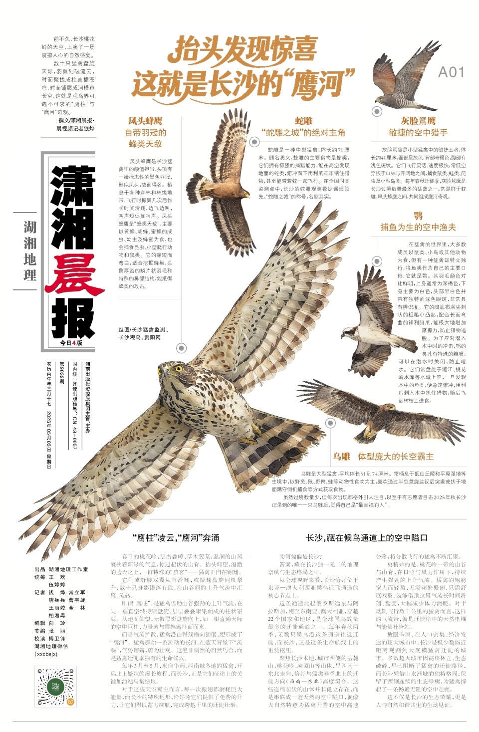 抬头发现惊喜，这就是长沙的“鹰河”