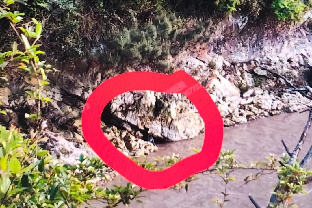 父母互相拍照时6岁儿子不慎坠崖，救援惊心动魄