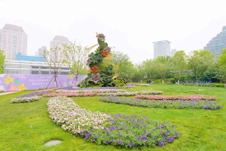 夯爆了！每天10万人涌入，上海这只超级网红“潦草小狗”公开征名啦