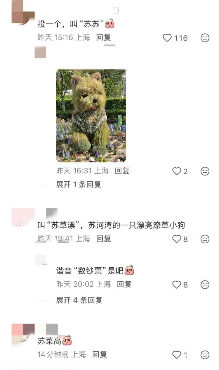 夯爆了！每天10万人涌入，上海这只超级网红“潦草小狗”公开征名啦