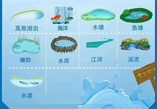 两名孩童不慎滑入水中，危急时刻，杭州多名小伙迅速跳水合力救援